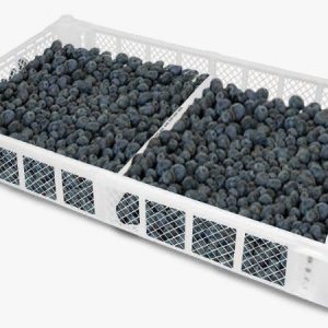 Jaba para arándanos